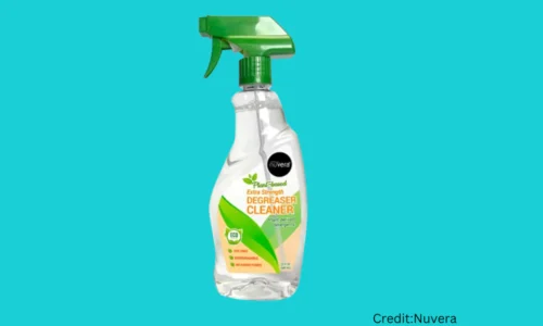 10 Best Stovetop Cleaners in 2024 – Approved By Cleaning Experts