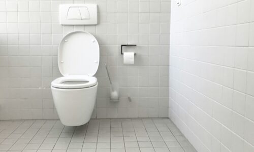 Toilet Bowl Cleaning Hack: Just One Ingredient, No Chemicals