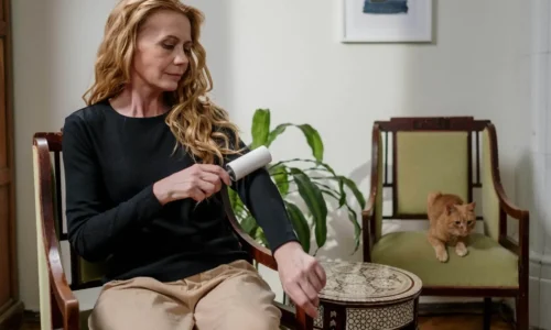 12 Brilliant Uses of Lint Roller That You Should Know
