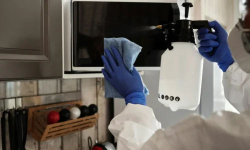 How To Deep Clean Your Oven – Simple & Effective Steps 