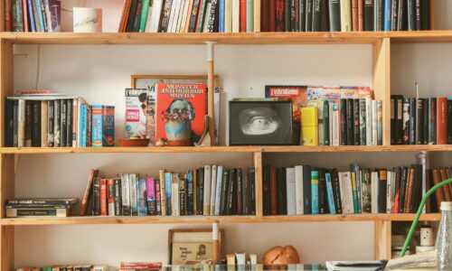 From Cluttered to Curated: A Beginner’s Guide to the Bookshelf Wealth Trend